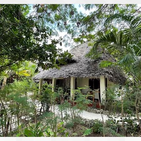 Bellevue Zanzibar Bed & Breakfast Bwejuu Exterior photo